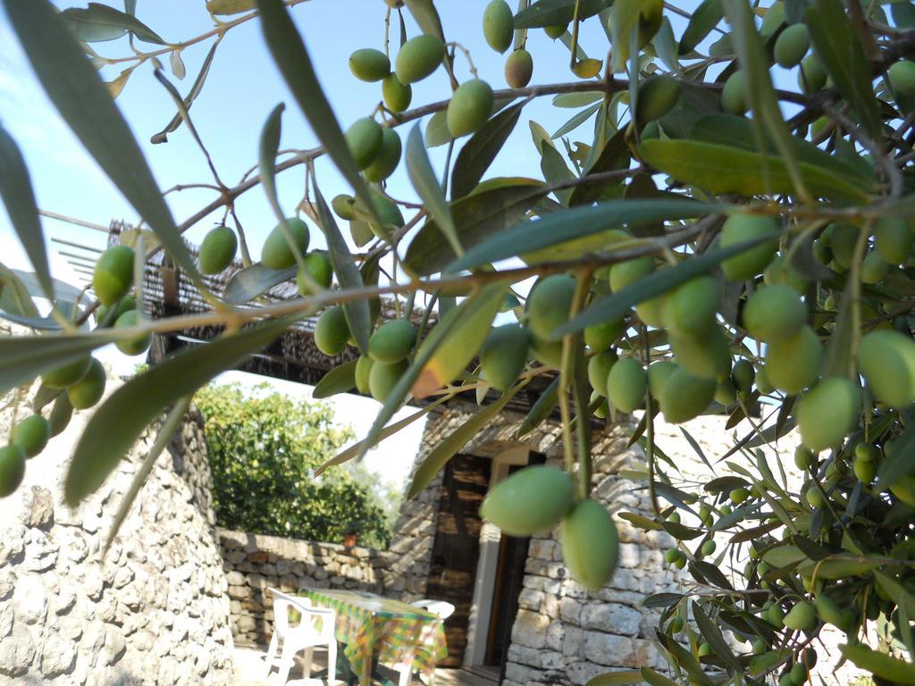 Agriturismo Specchiarussa Morciano di Leuca Bilik gambar